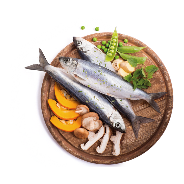 FITMIN PURITY 幼犬無穀物乾糧 魚肉配方 2KG