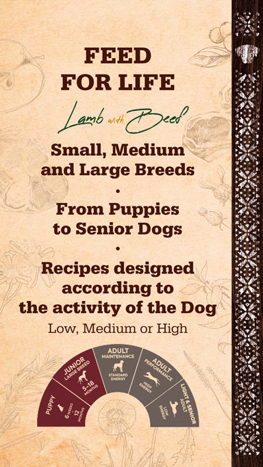 FITMIN 維護配方 羊肉&牛肉 中型/大型犬